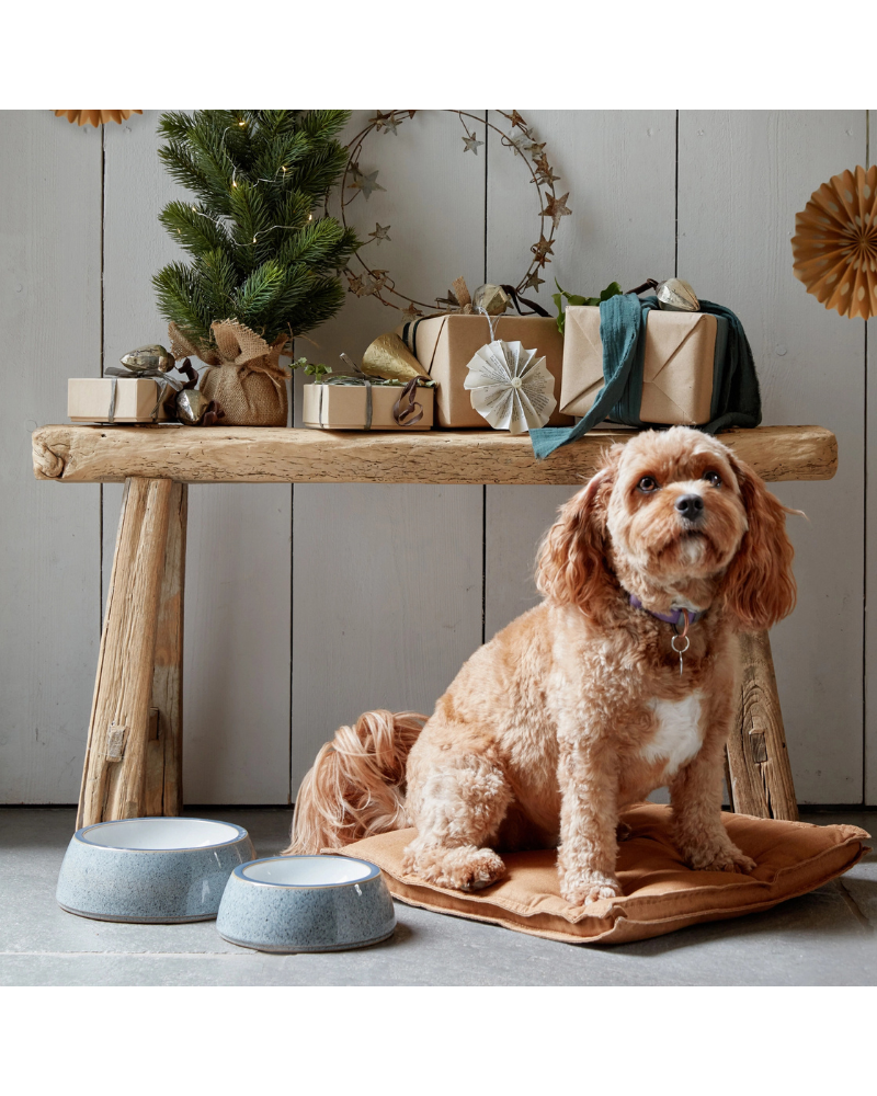 Ceramic Pet Bowl in Studio Grey (Made in England) Eat DENBY