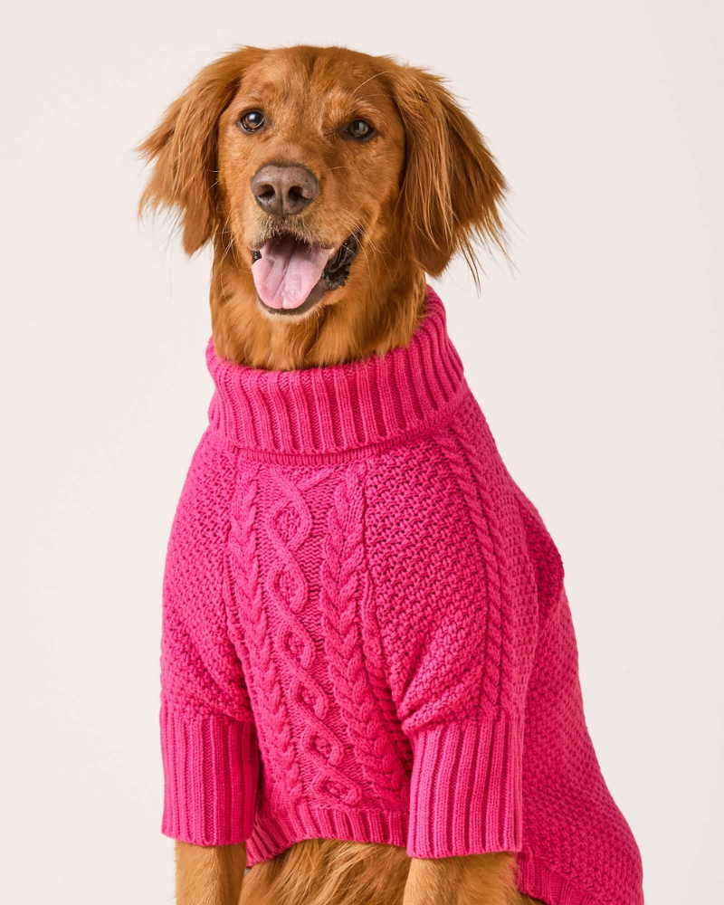 DOG & CO. | Quality Pet Products, In-Store & Online
