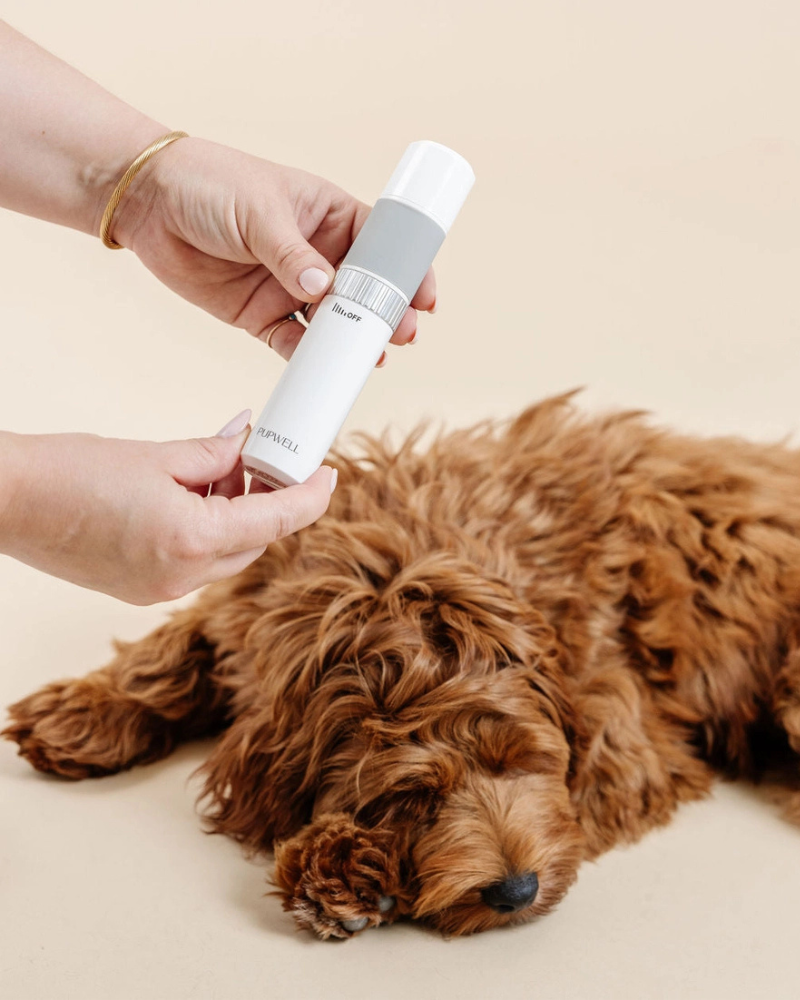 Iconic Dog Nail Trimming Duo Clean PUPWELL