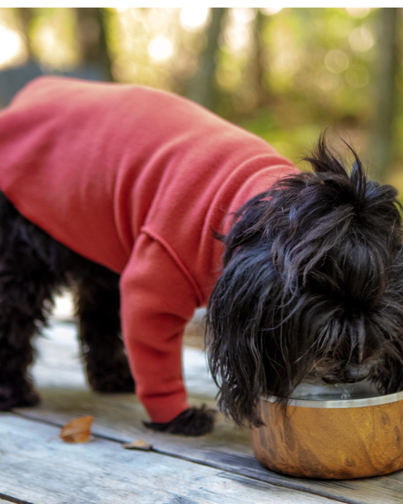 Long-Sleeve Stretch Fleece in Paprika (Made in the USA, DOG & CO. + GOLD PAW Exclusive!) Wear GOLD PAW