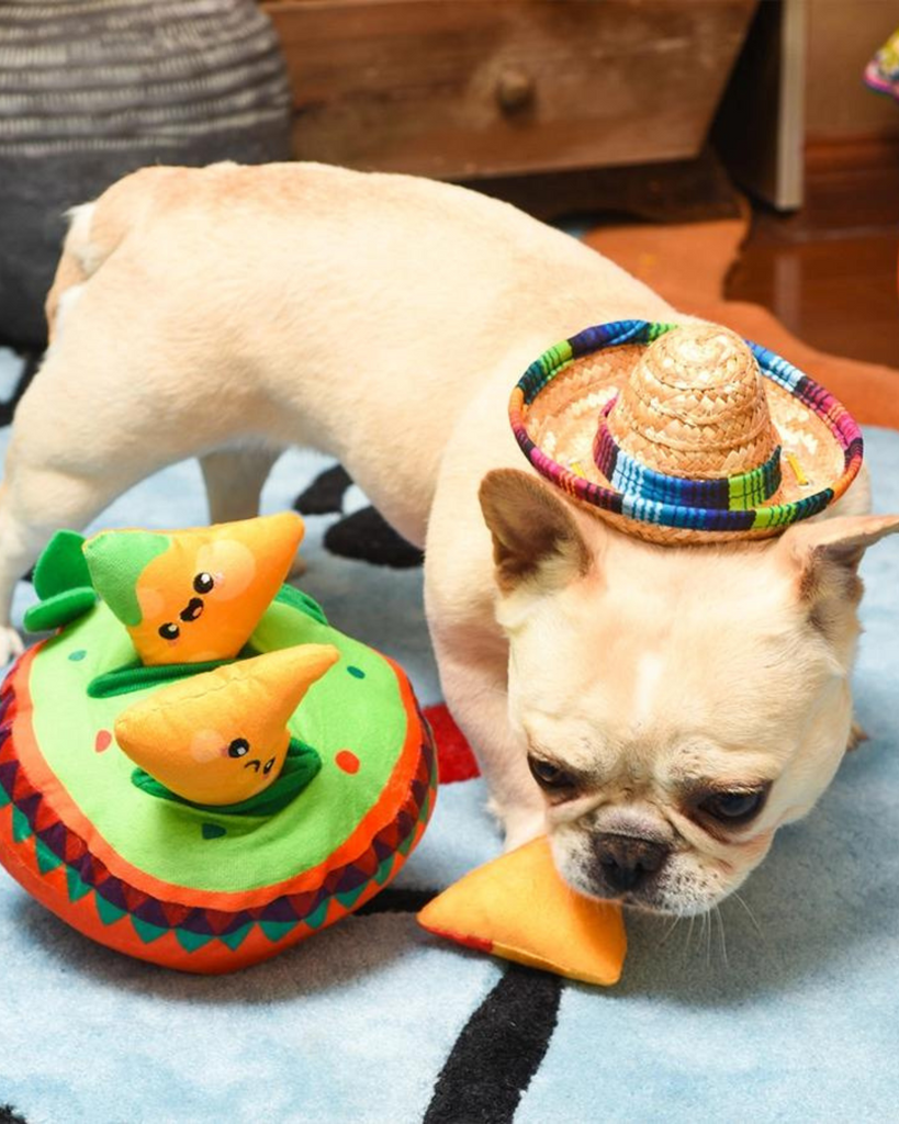 Fiesta Chewsday Nachos Nosework Dog Toy (FINAL SALE) Play HUGSMART   