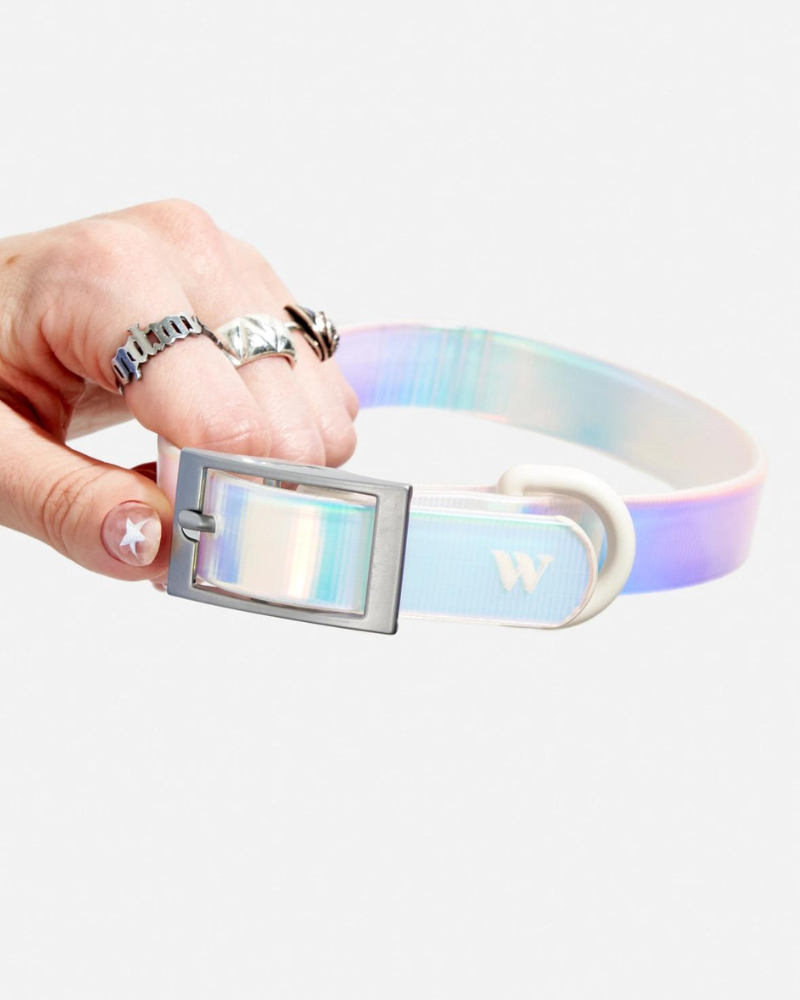 Holographic Lunar Dog Collar WALK WILD ONE   