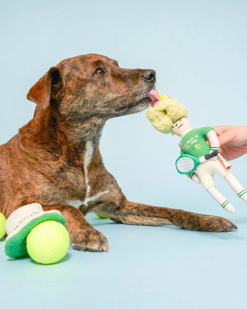 Tennis Hooman Nosework Dog Toy PLAY THE FURRY FOLKS