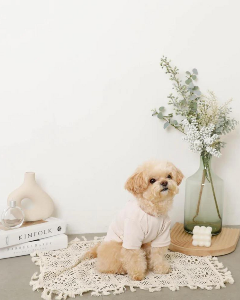 Cupcake Love Dog T-Shirt (FINAL SALE) (SUM24LO) Wear MONCHERI   