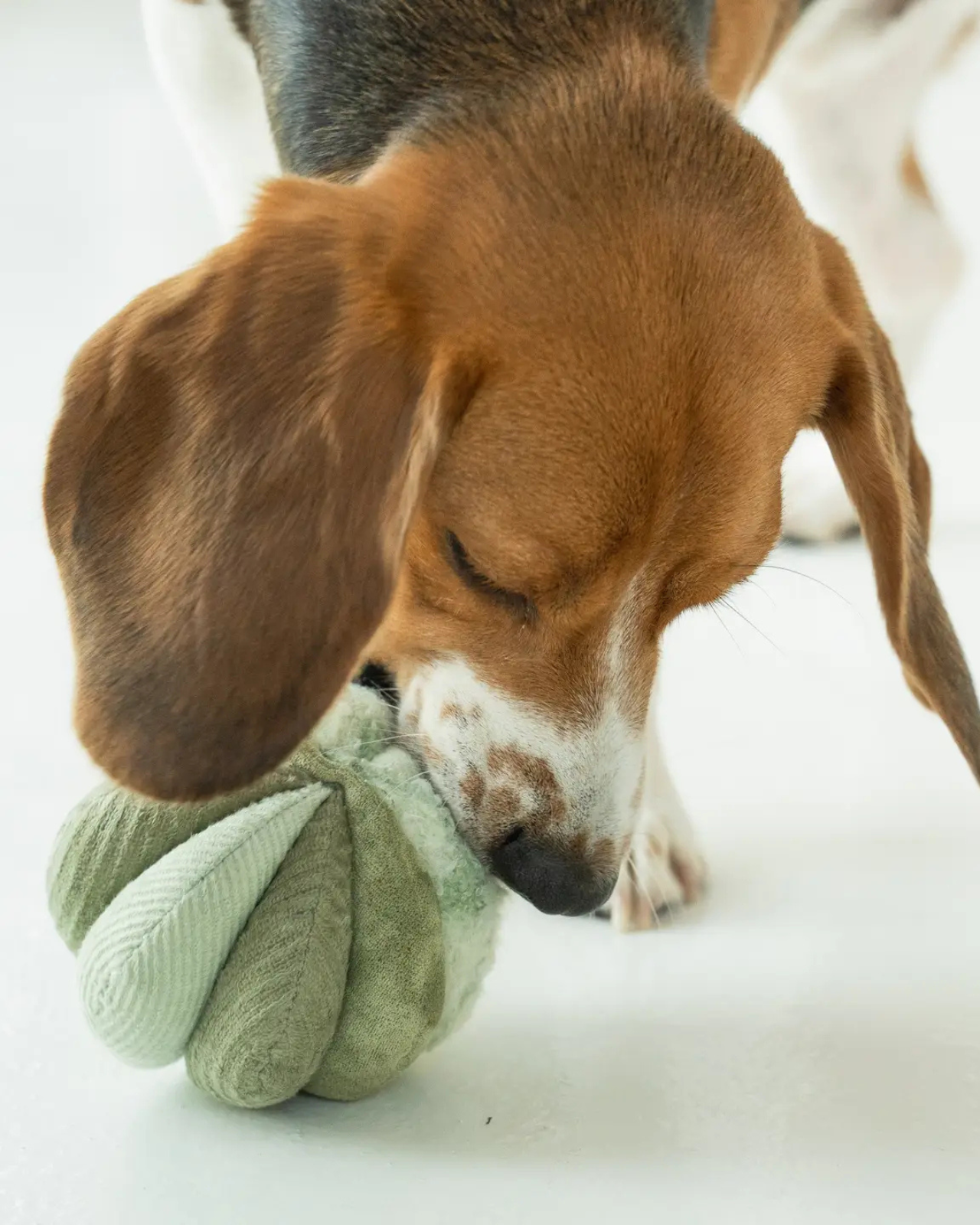 LAMBWOLF COLLECTIVE | Toto Silent Interactive Snuffle Ball | DOG & CO.
