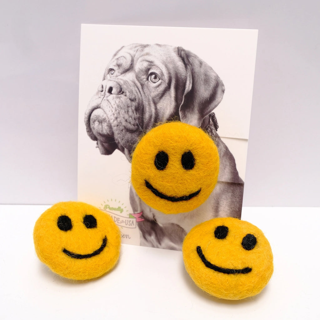Smiley Face Collar Accessory (Made in the USA) Wear MIMI GREEN