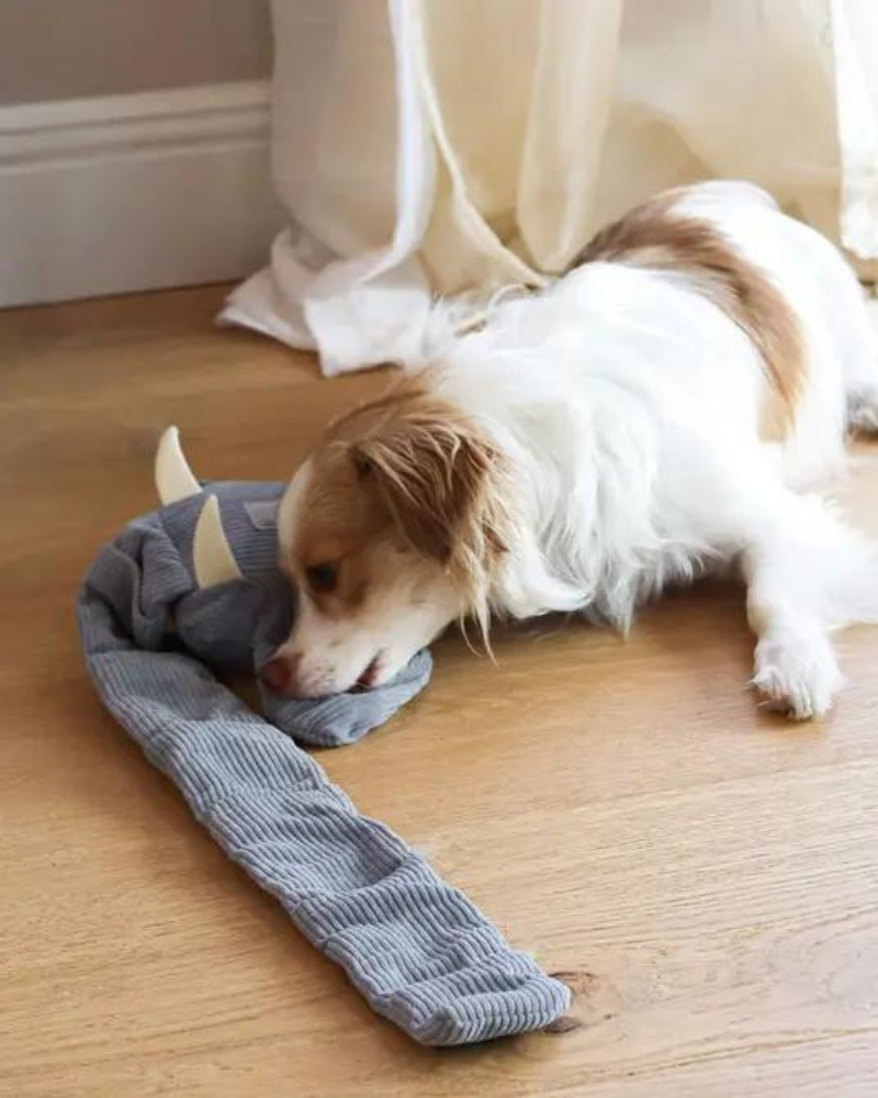 INJOYA | Trunk or Treat Snuffle Dog Toy | DOG & CO.