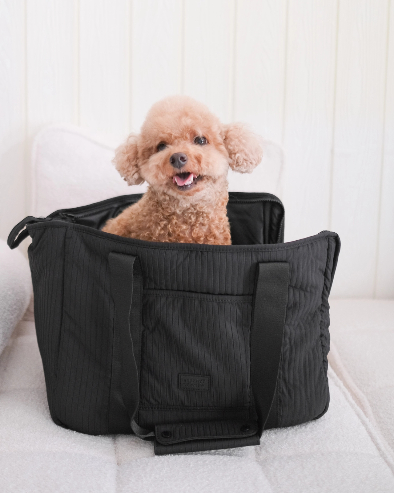 LAMBWOLF COLLECTIVE | City Carrier Dog Bag in Black | DOG & CO.