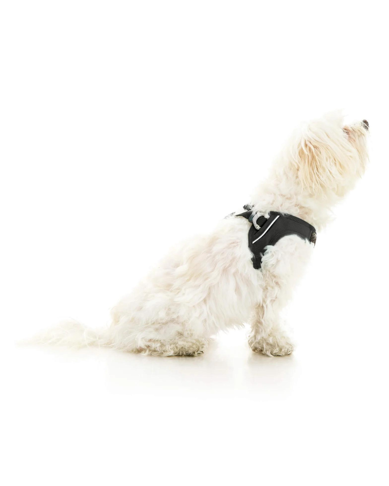 Gooby escape free easy fit harness hot sale