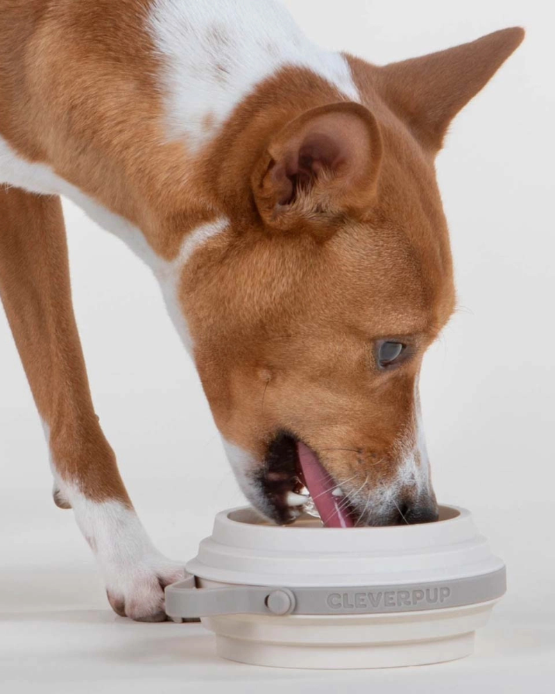 Nomad Collapsible Dog Bowl in Sand Eat CLEVERPUP