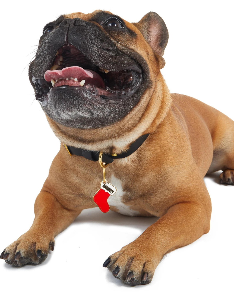 Naughty Custom Dog ID Tag (Limited Edition) </br> (Custom/Drop-Ship) Wear TRILL PAWS   