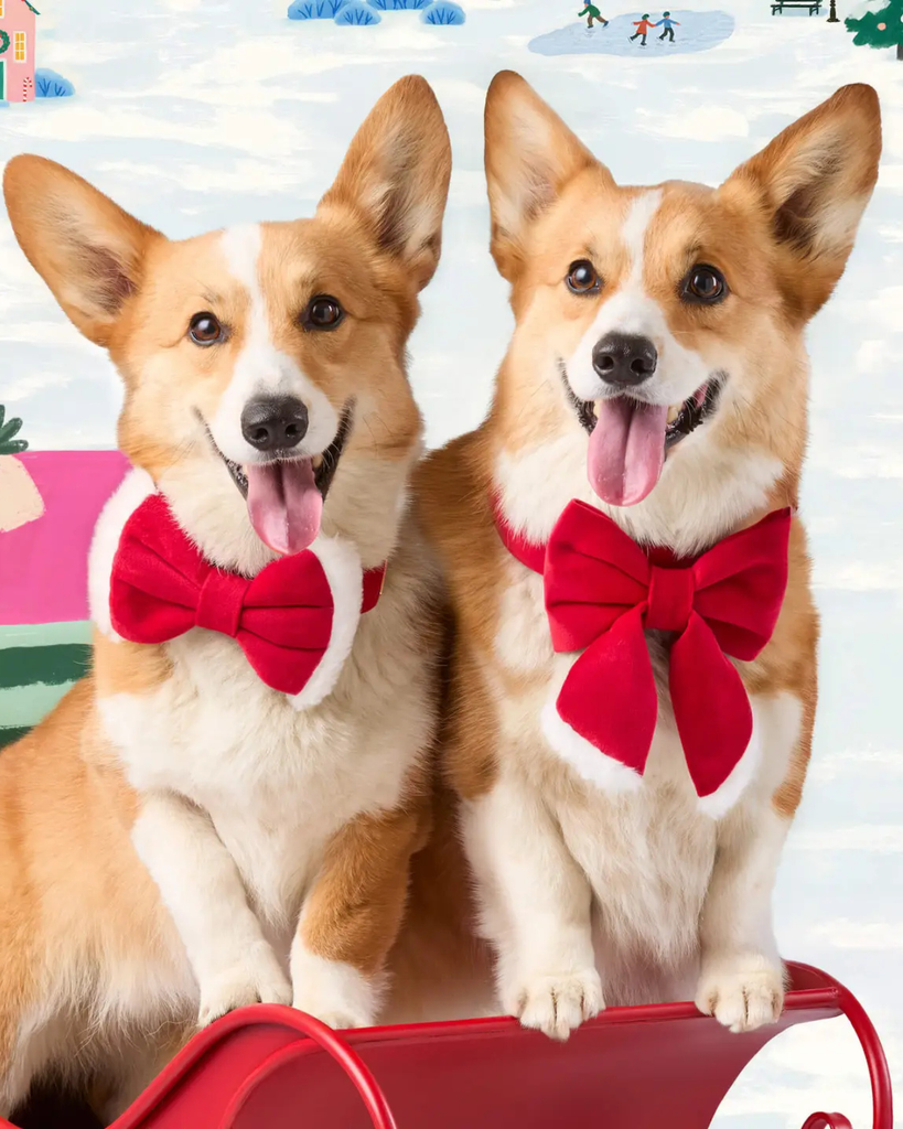 Santa Paws Dog Bow Tie Wear THE FOGGY DOG