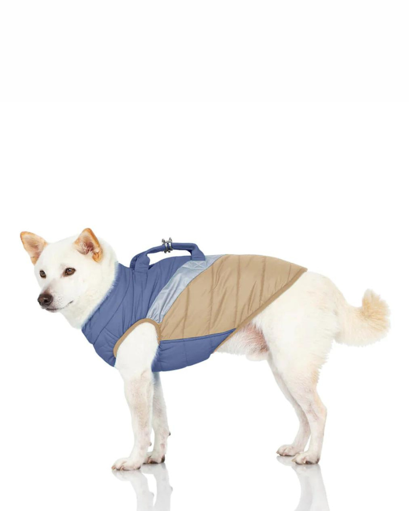 Mountaineer Waterproof Dog Harness Jacket in Tan & Moonstone Blue (FINAL SALE) Wear GOOBY   