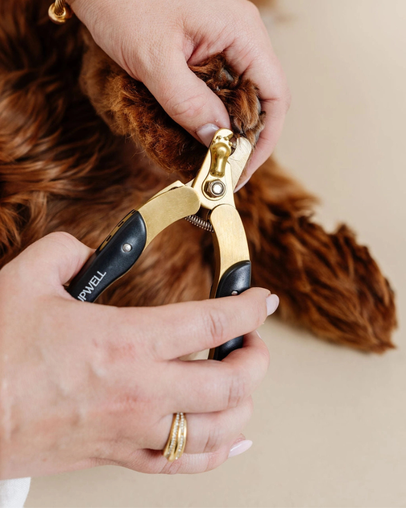 Iconic Dog Nail Trimming Duo Clean PUPWELL