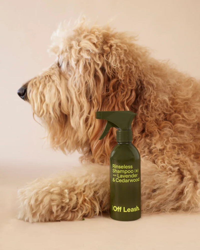 Rinseless Shampoo Dog Refrehing Spray Clean ALWAYS OFF LEASH