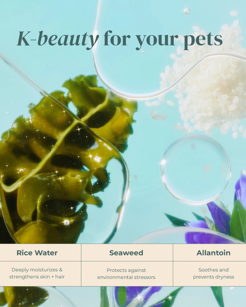 Furfection Rice Water Paw & Facial Shampoo HOME PETORA