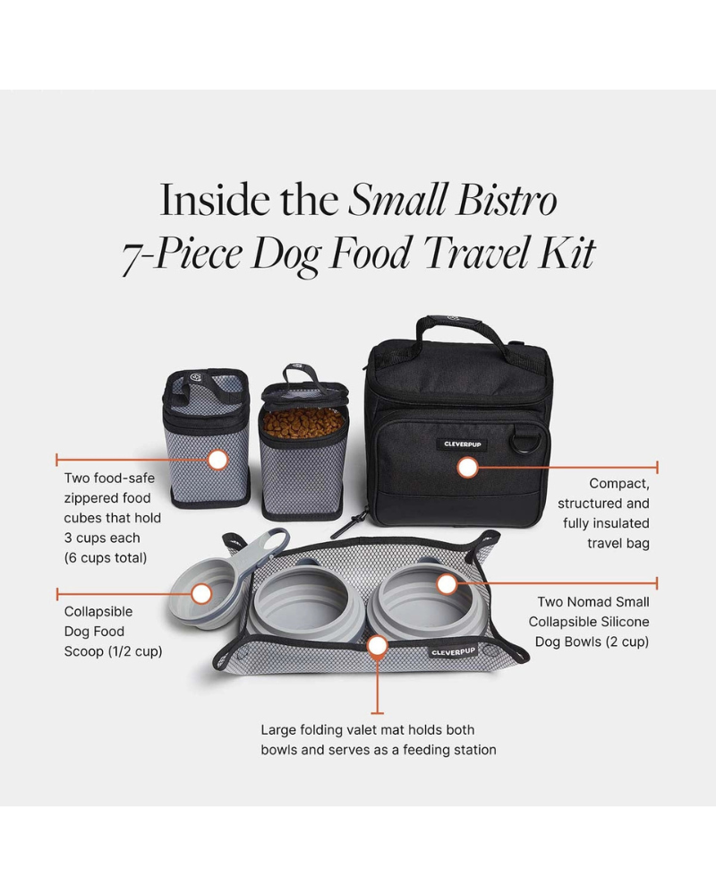 Bistro Box Dog Food Travel Kit in Check Eat CLEVERPUP