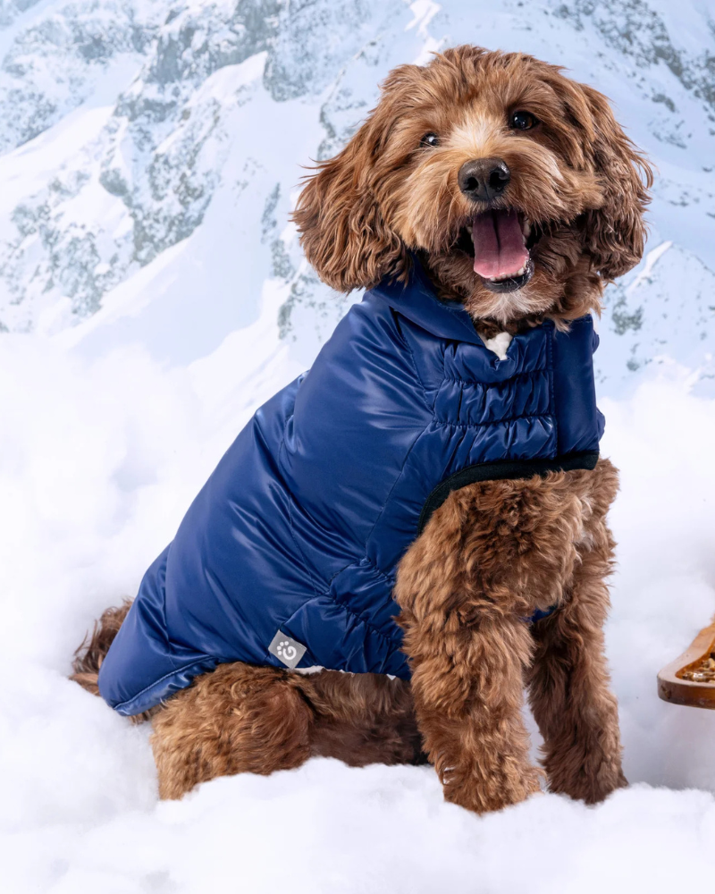 Lunar Glow Dog Parka in Blue Wear GF PET