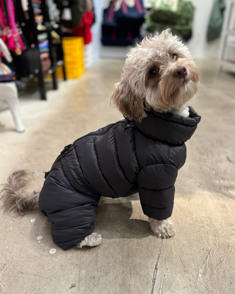 Padded Winter Coverall for Dogs Wear SSOOOK   