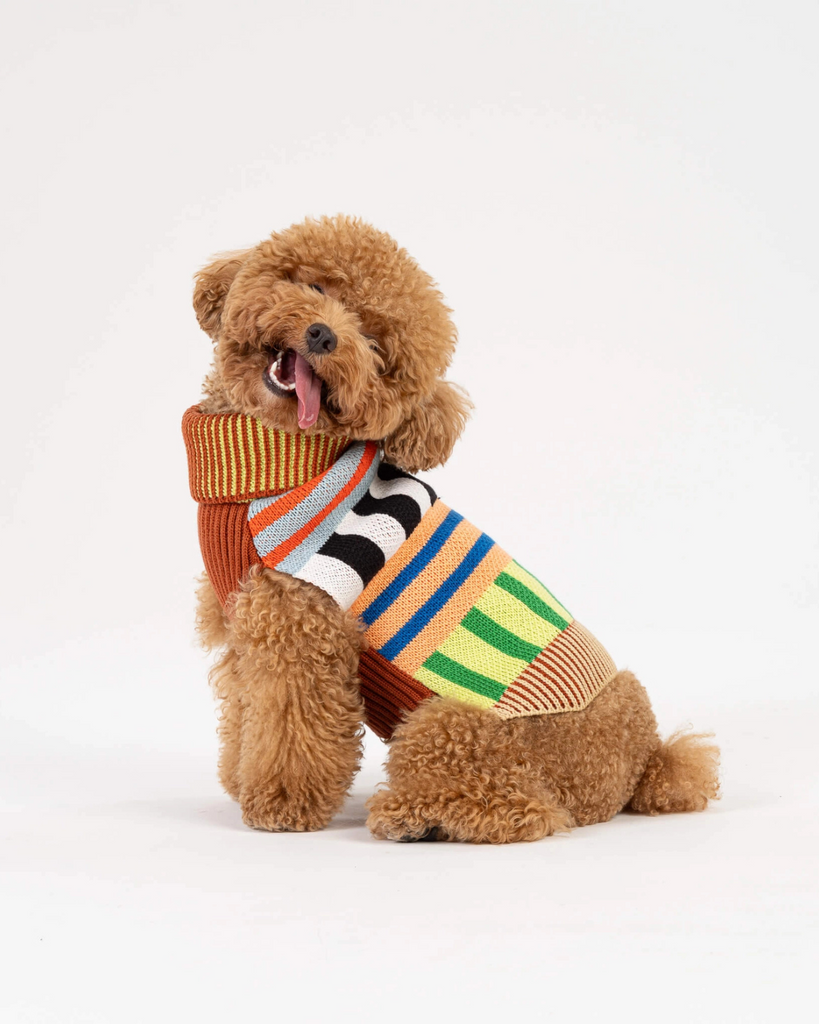 Patchwork Stripe Dog Sweater Wear VERLOOP