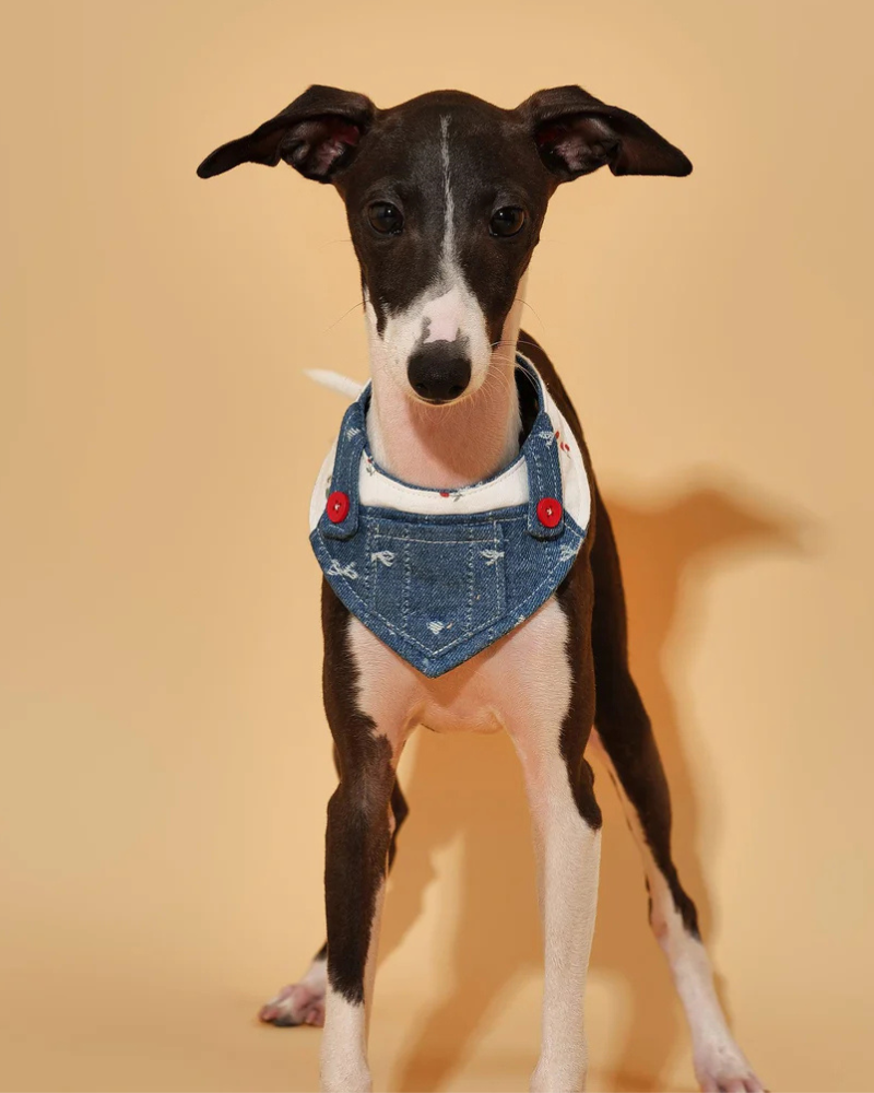 Reversible Denim Overalls Dog Bandana Wear BARKBARK BABY