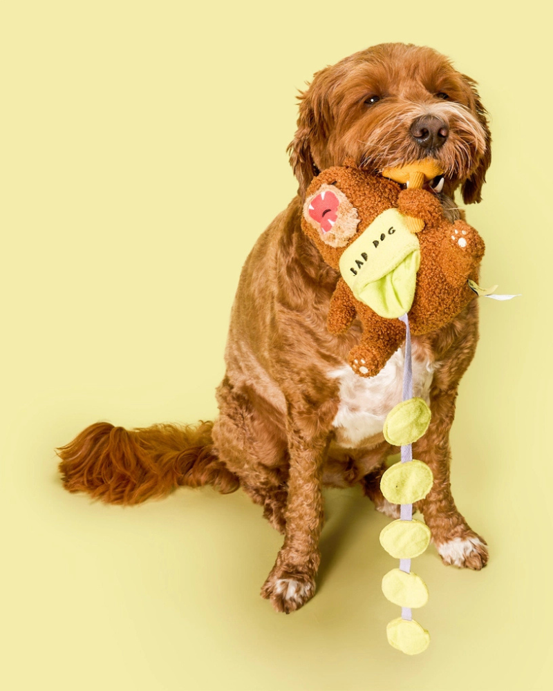Bad Dog Bear Nosework Toy for Dogs Play THE FURRYFOLKS
