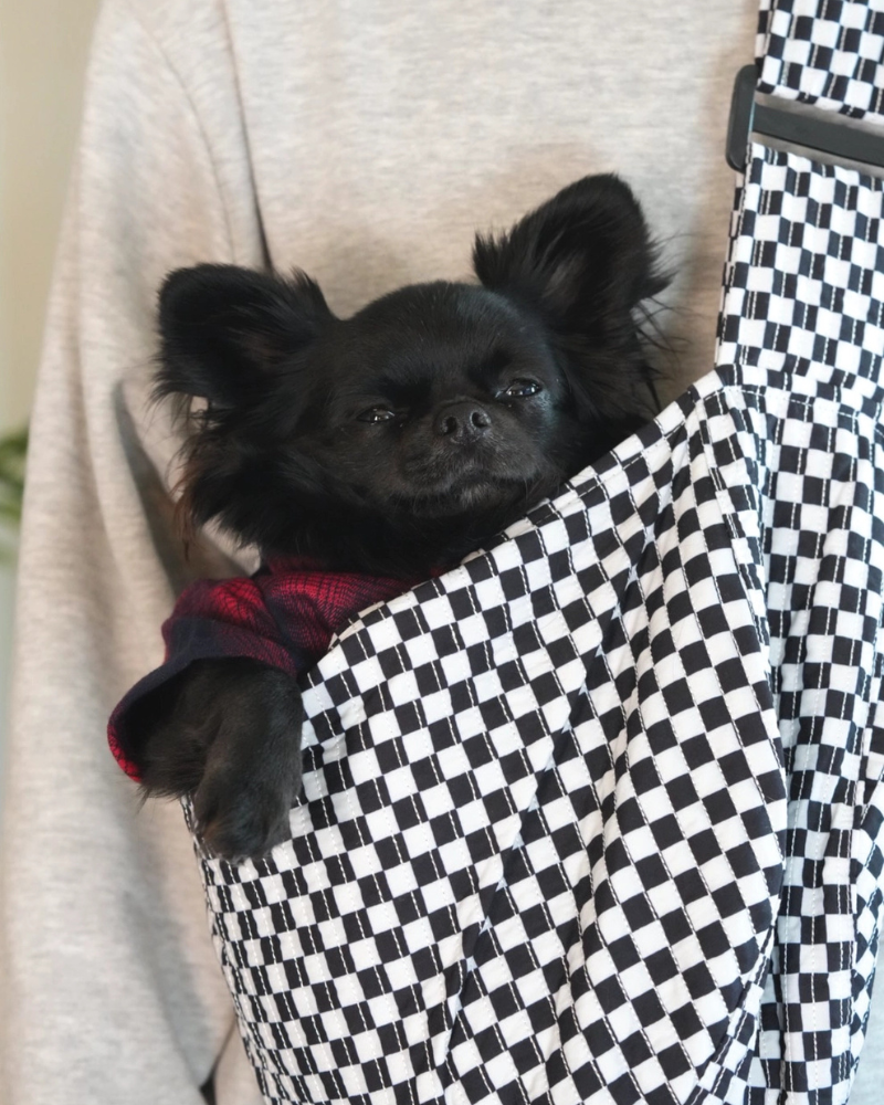 Pet Sling Carrier CARRY MOXXIE