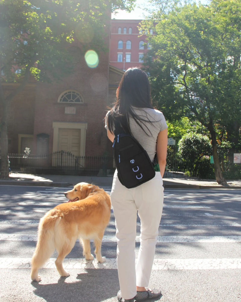 Waterproof Dog Walking Bag w/ Removable Treat Pouch WALK MOLO MODERN PET