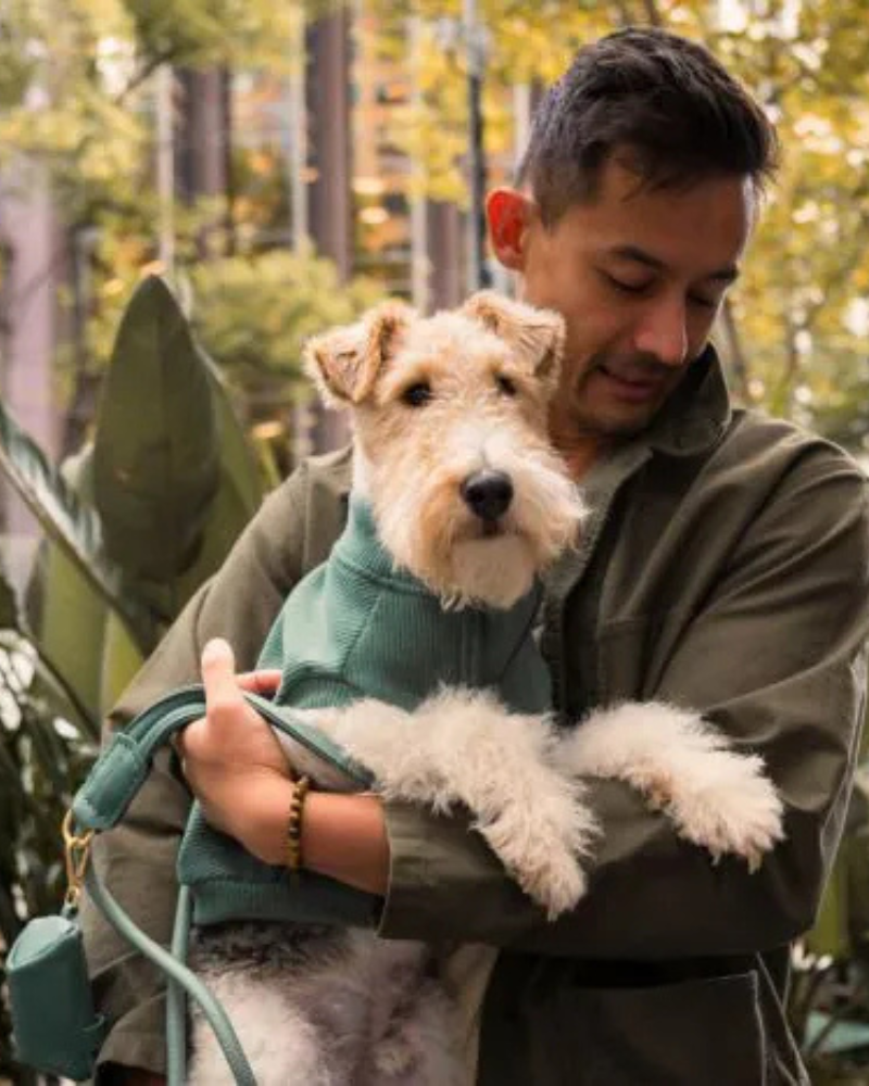 Ribbed Knit Dog Pullover in Myrtle Green Wear FUZZYARD