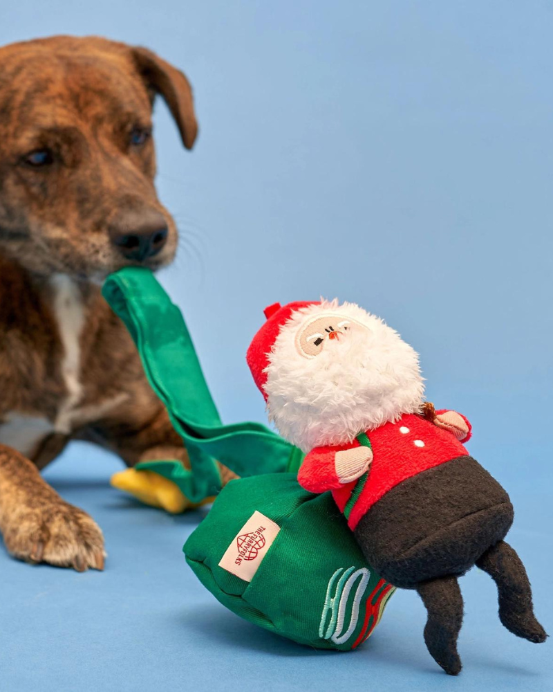 Santa Paws Nosework Dog Toy (FINAL SALE) Play THE FURRYFOLKS   