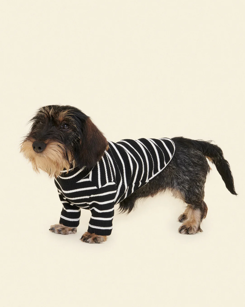 Cafe in Paris Dog Shirt Wear LITTLE BEAST