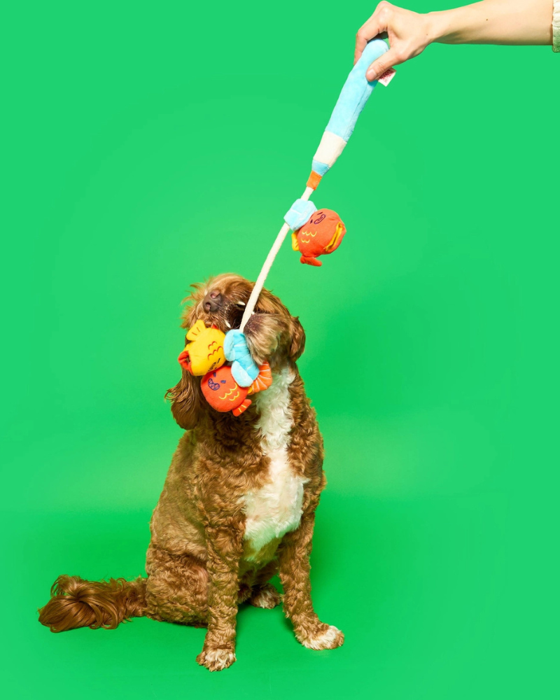 Fishing Nosework & Tug Dog Toy PLAY THE FURRY FOLKS