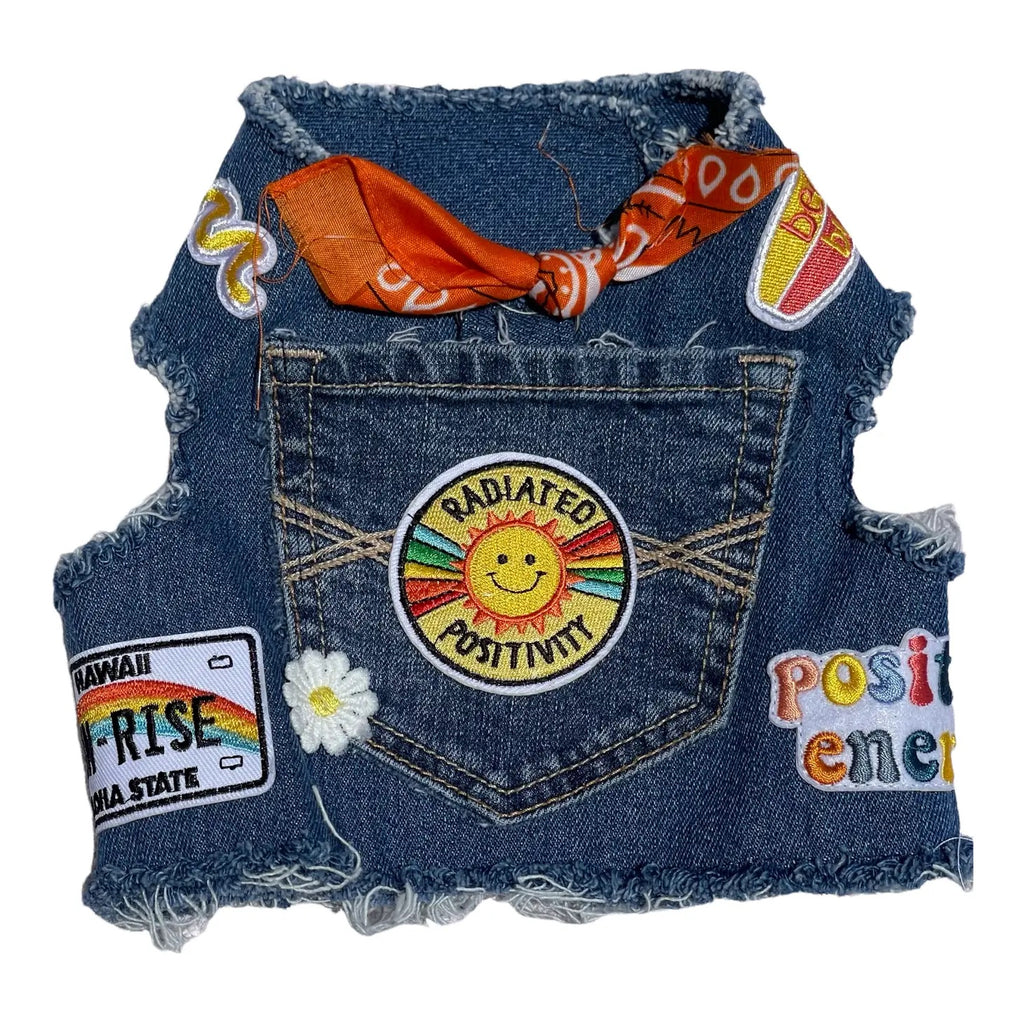 Sunshine Positivity Denim Dog Harness WALK HEADS OR TAILS PUP   