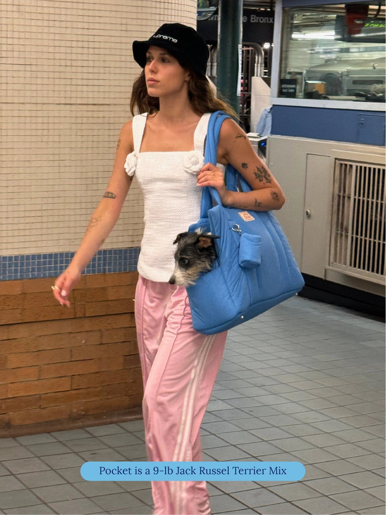 The Little Beast Dog Carrier in Baby Carry LITTLE BEAST   