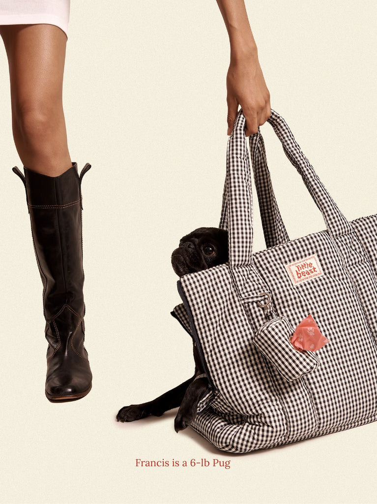 The Little Beast Dog Carrier in Noir Carry LITTLE BEAST   