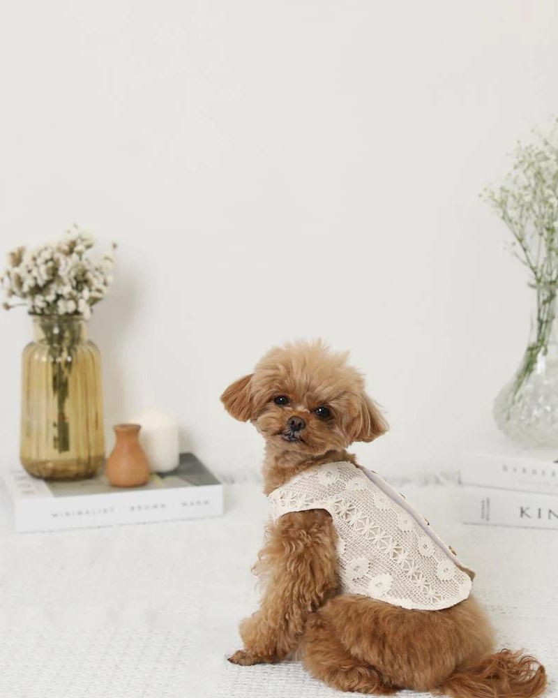 Boho Lace Dog Vest Wear MONCHERI   