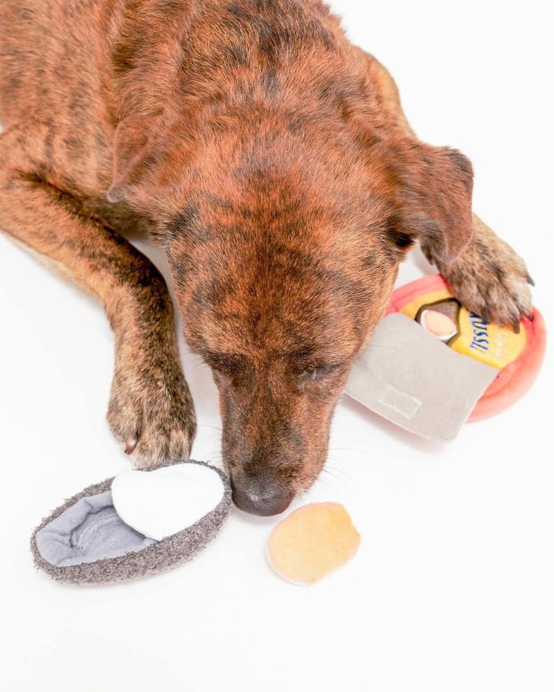 Tinned Mussel Nosework Dog PLAY THE FURRYFOLKS   