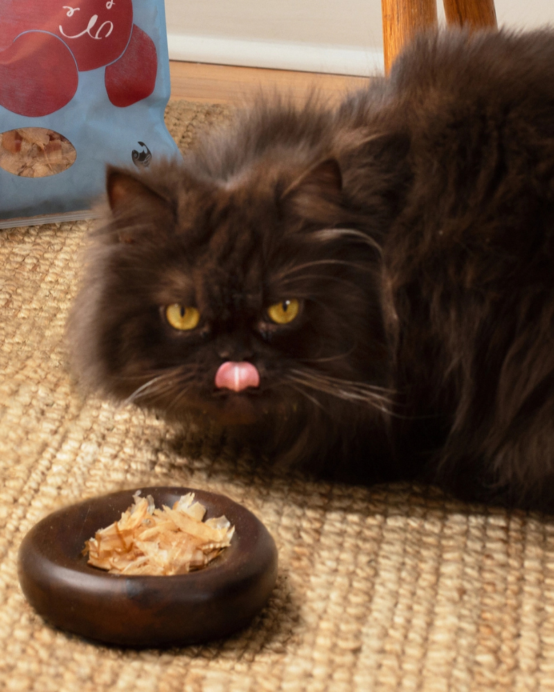 Wild Caught Umami Bonito Flakes for Cats & Dogs EAT BONITO HOUSE