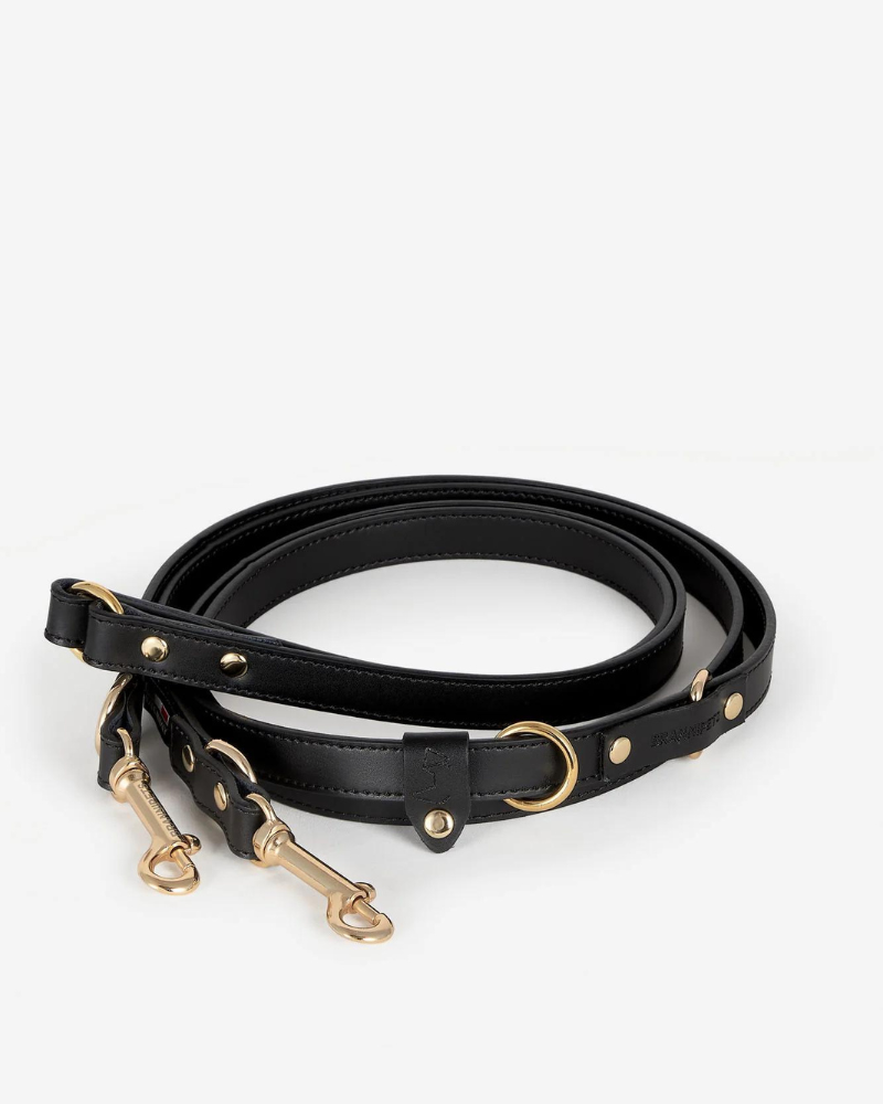 BRANNI Black Nara Leather Dog Leash with Brass Hardware (Made in