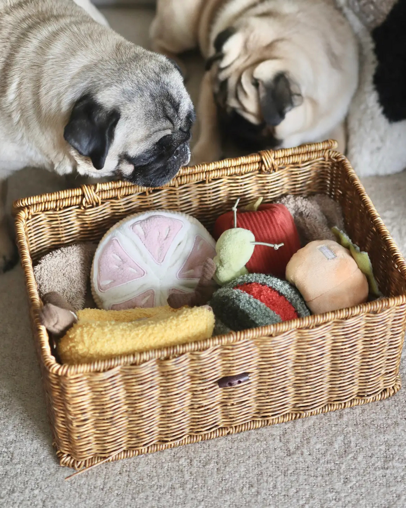 Grapefruit Plush Enrichment Dog Toy PLAY LAMBWOLF COLLECTIVE