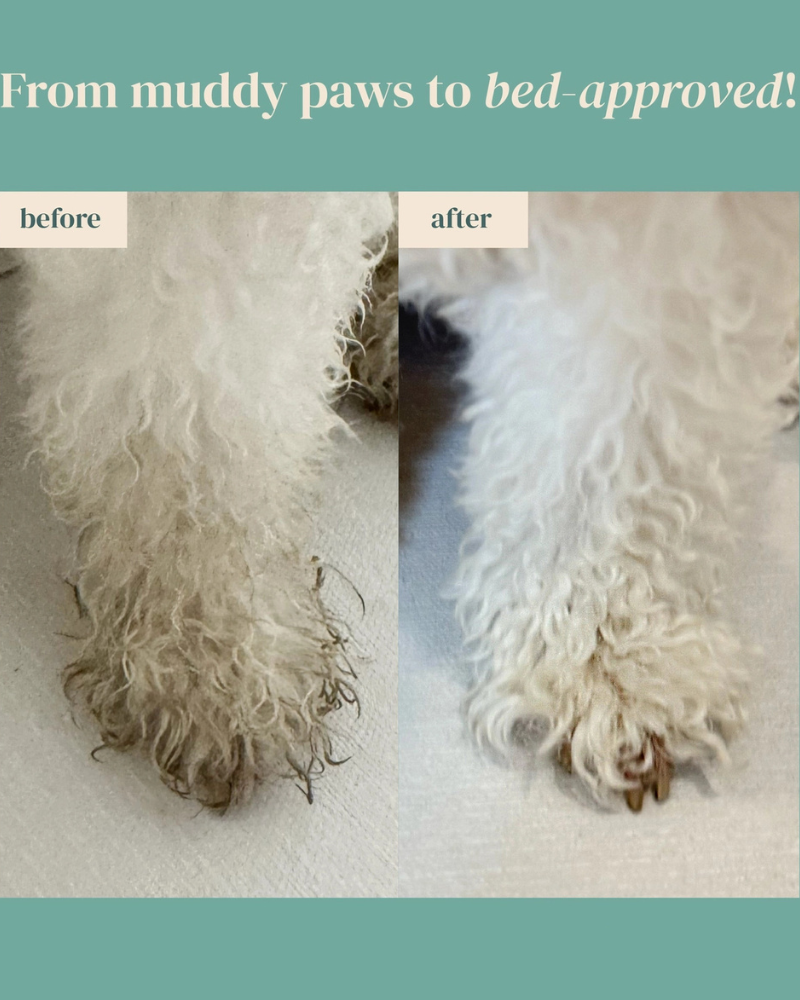 Furfection Rice Water Paw & Facial Shampoo HOME PETORA