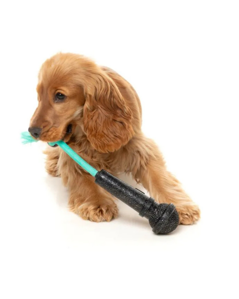 Mic Drop Interactive Chew Dog Toy PLAY FUZZYARD