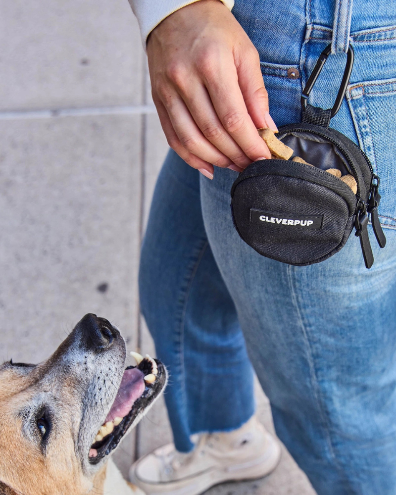 Snackpack Double Dog Treat Pouch Walk CLEVERPUP