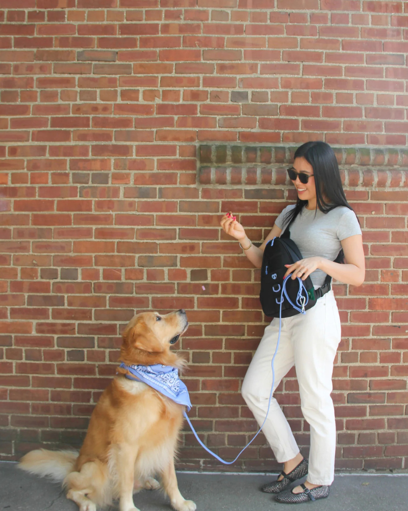 Waterproof Dog Walking Bag w/ Removable Treat Pouch WALK MOLO MODERN PET