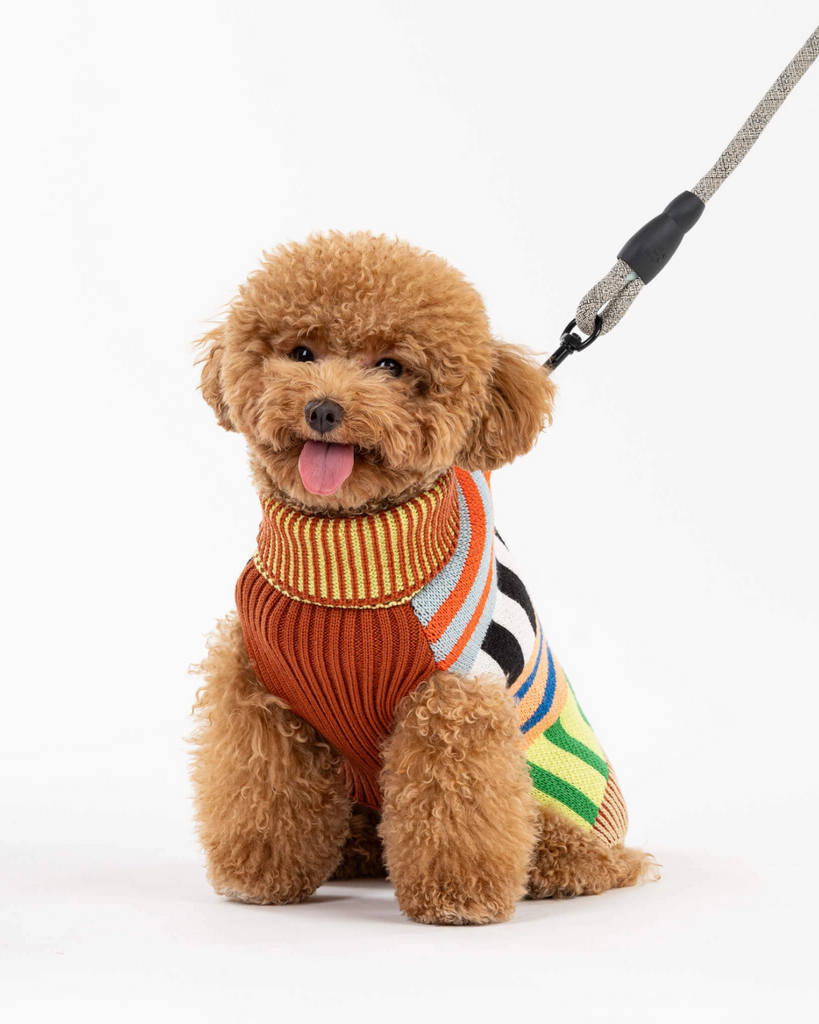 Patchwork Stripe Dog Sweater Wear VERLOOP