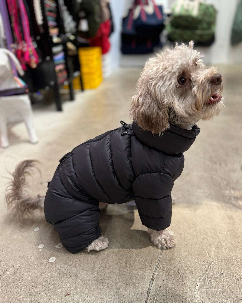 Padded Winter Coverall for Dogs Wear SSOOOK   