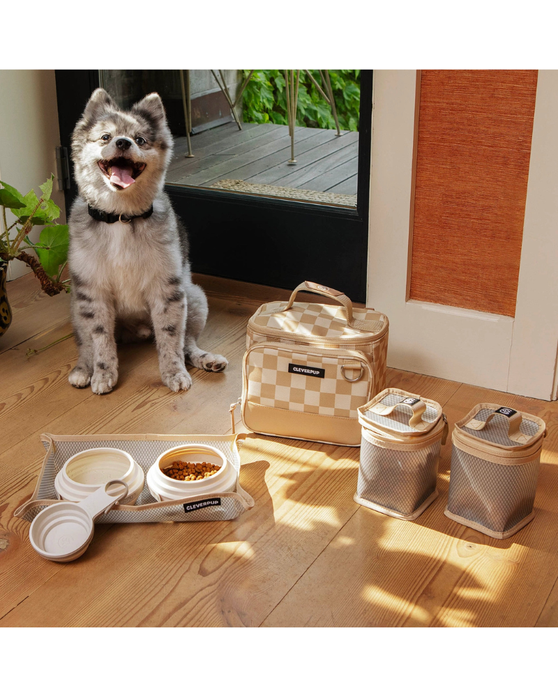 Bistro Box Dog Food Travel Kit in Check Eat CLEVERPUP
