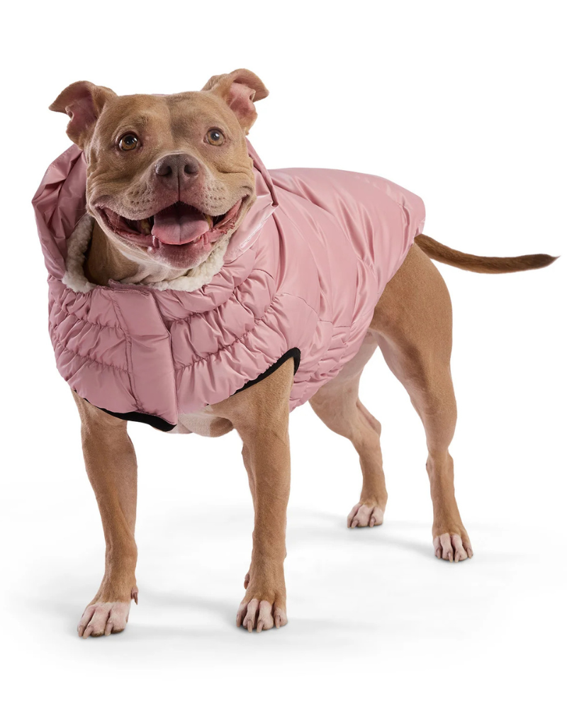 Lunar Glow Dog Parka in Pink Wear GF PET