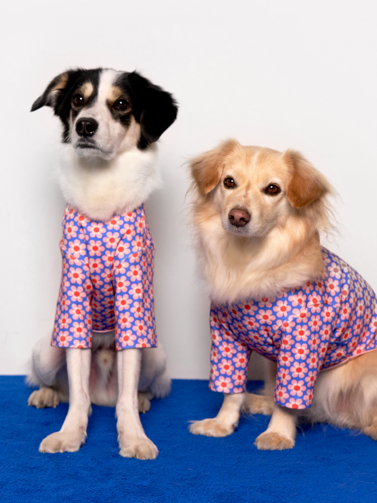 Pink Lotus Dog Shirt Wear THE WAGGING BLUE
