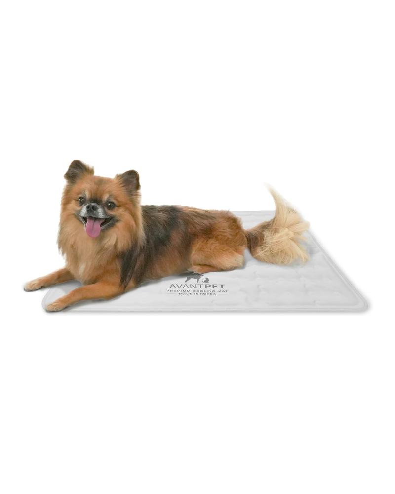 Non-Toxic Pet Cooling Mat (Made in Korea) HOME AVANTPET   